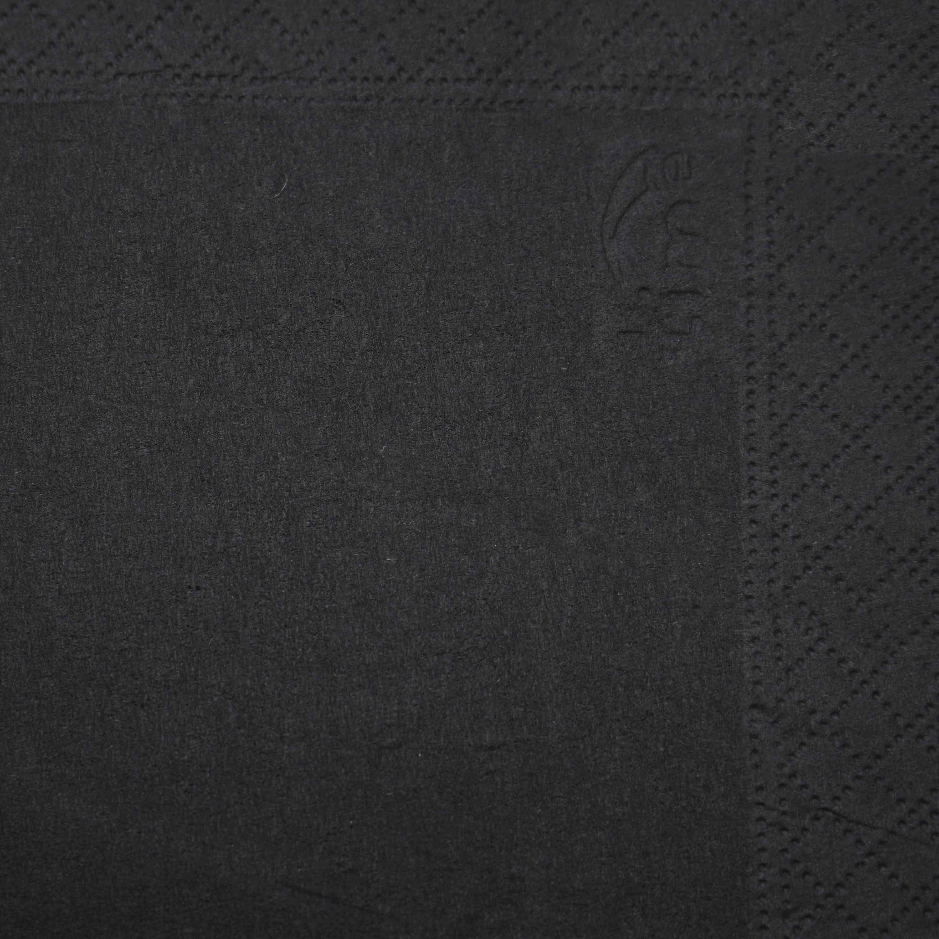 Салфетки бумажные 2-слойные 24×24см 250шт черные "Lime" арт.510150 (12)