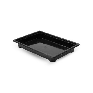 Контейнер для суши "СП-25" 242*168*25мм черное дно "Stirolplast" (110/220)