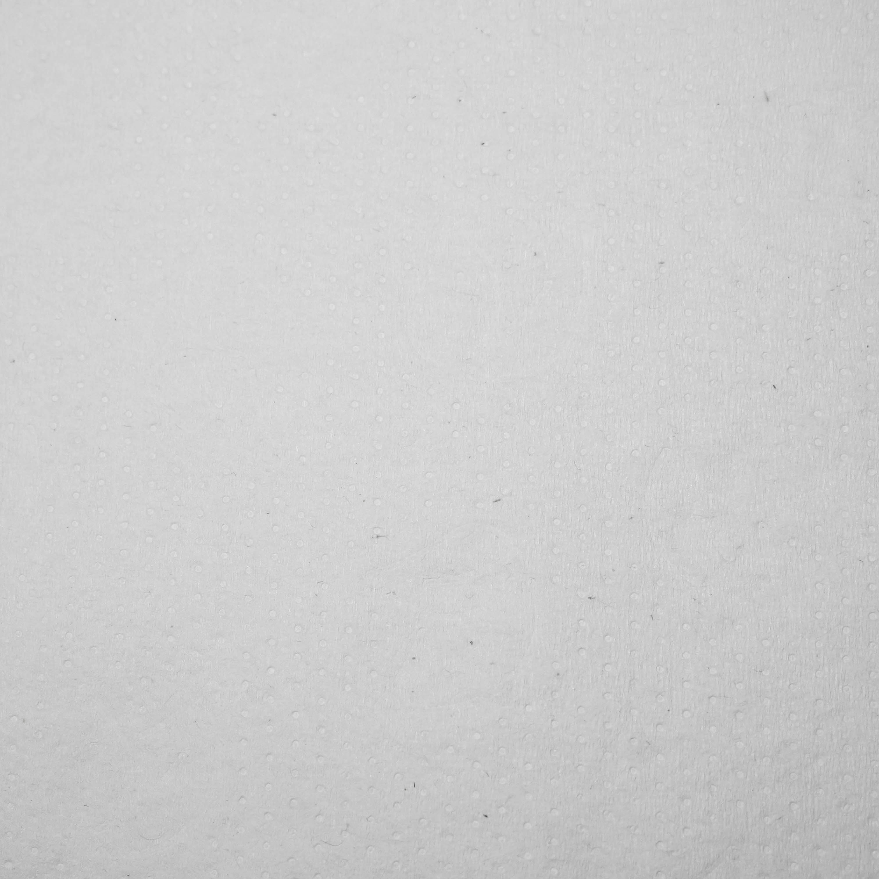 Бумажные полотенца 1-сл в рулоне с центр. выт.120м 25г/м² без перф Protissue М1/М2 С194 (12)