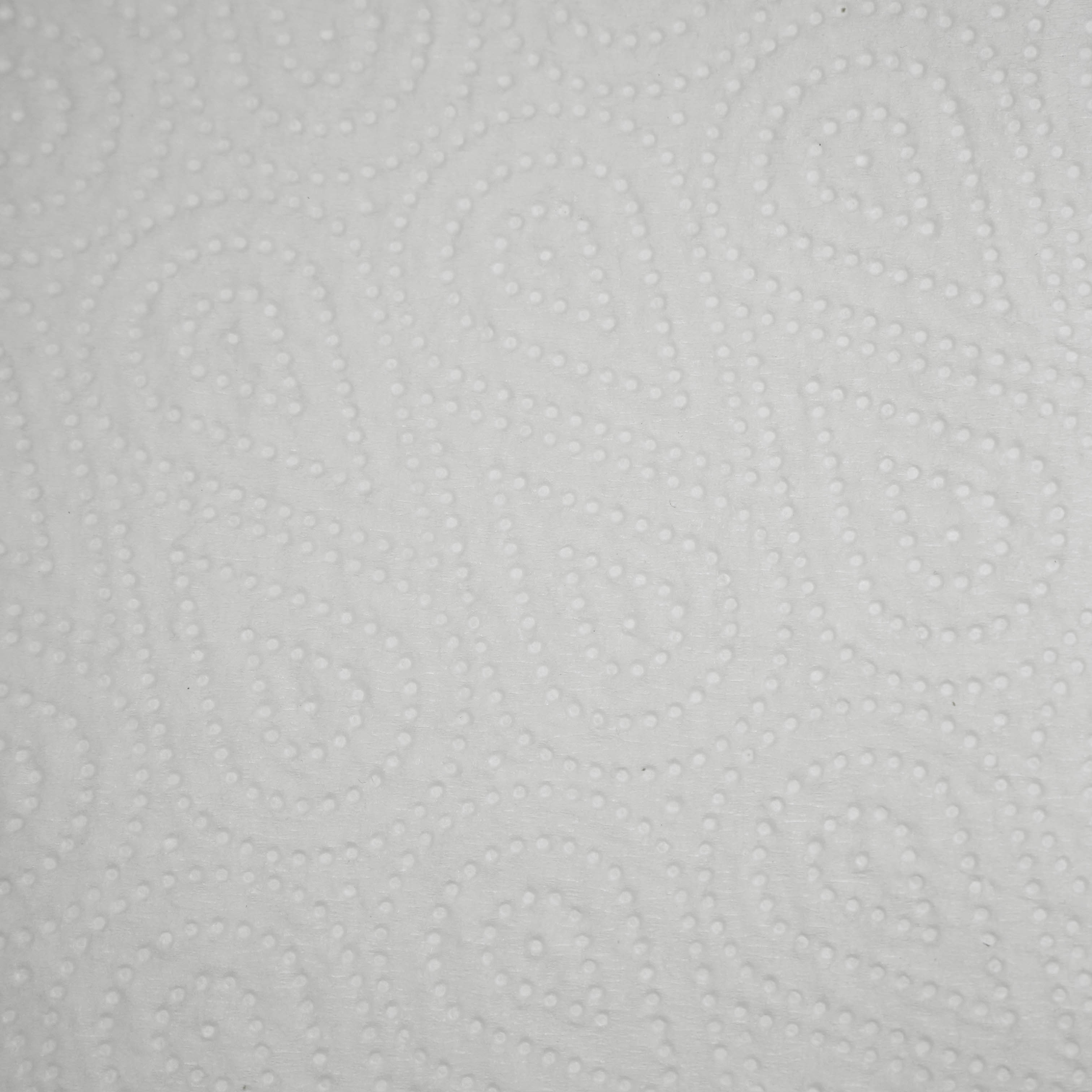 Бумажные полотенца 2-сл в рулоне 15м 2шт 20г/м² Protissue целлюлоза С162 (24)