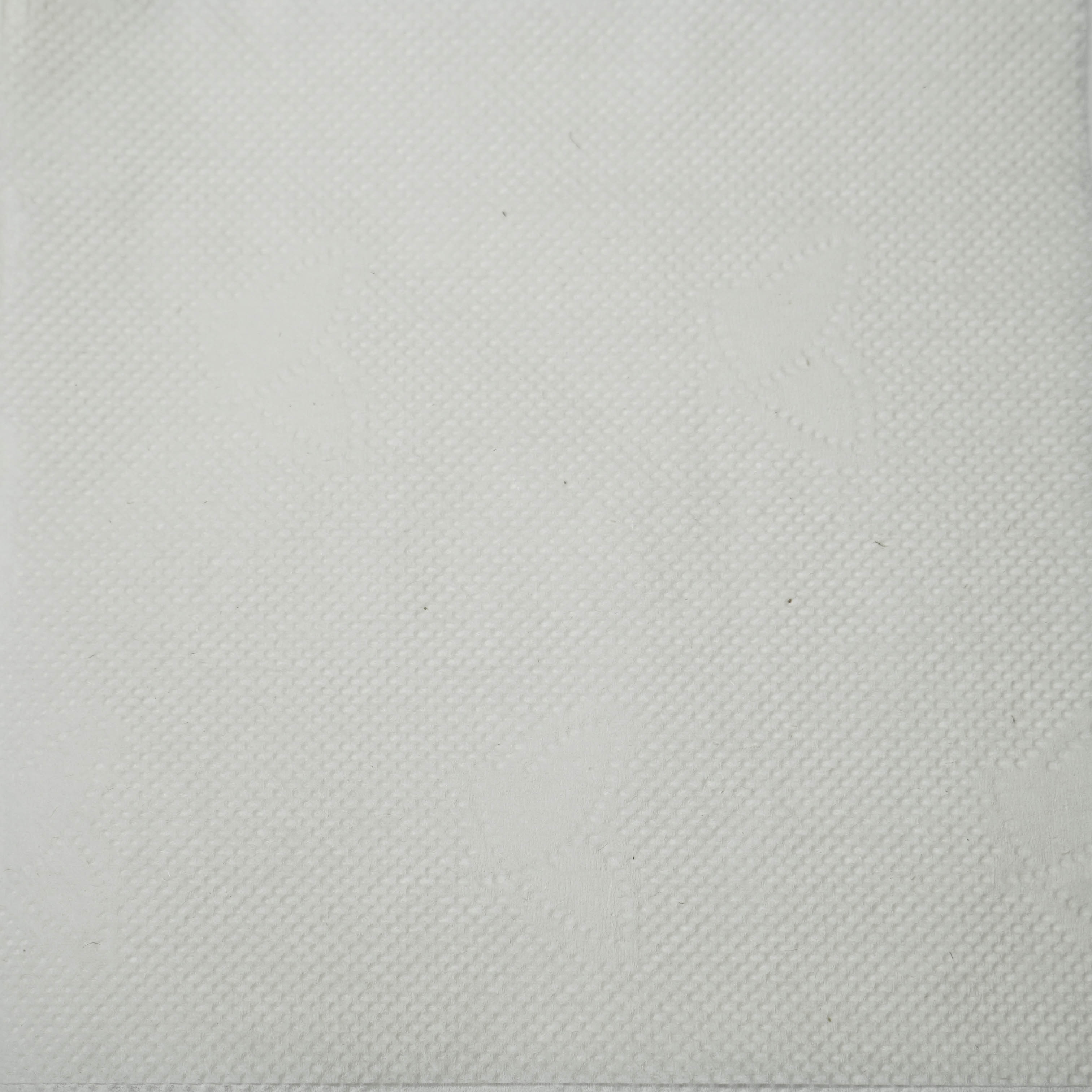 Салфетки бумажные 1-слойные 24×24см 100шт белые Protissue C184 (40)