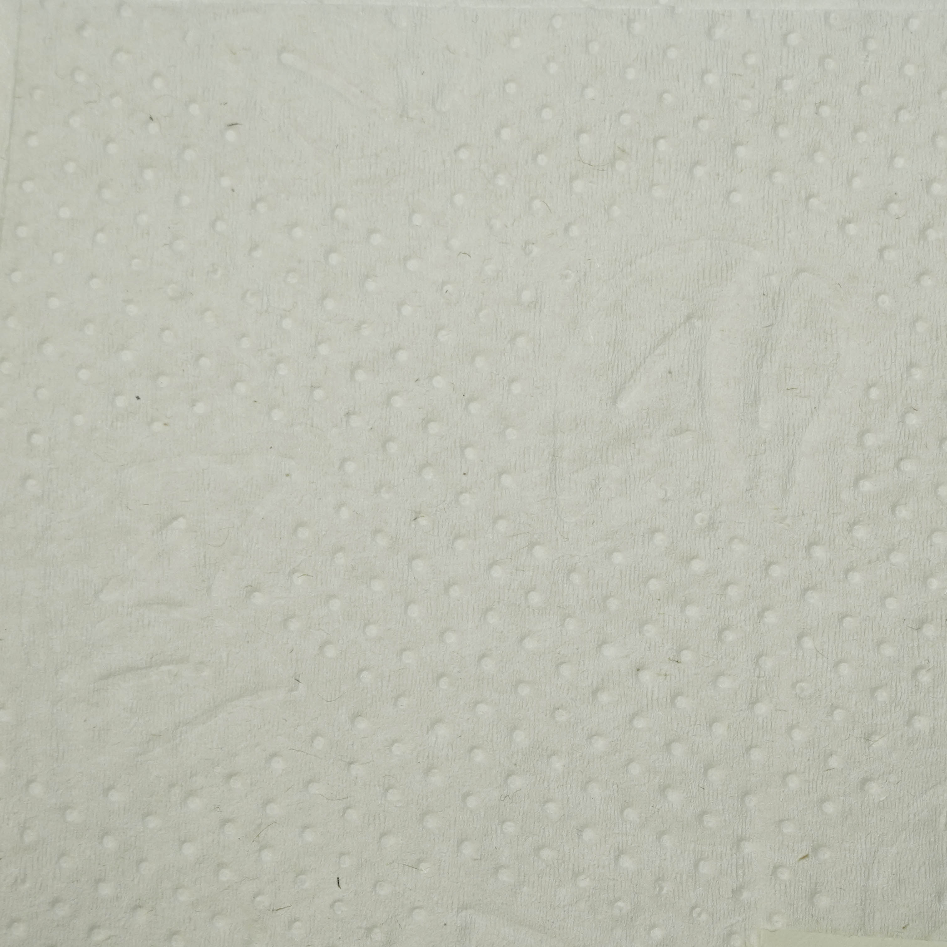 Бумажные полотенца 1-сл V-сложение 250л 21×22см 25г/м² Protissue H3 целлюлоза С192 (20)