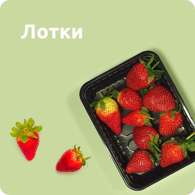 Лотки