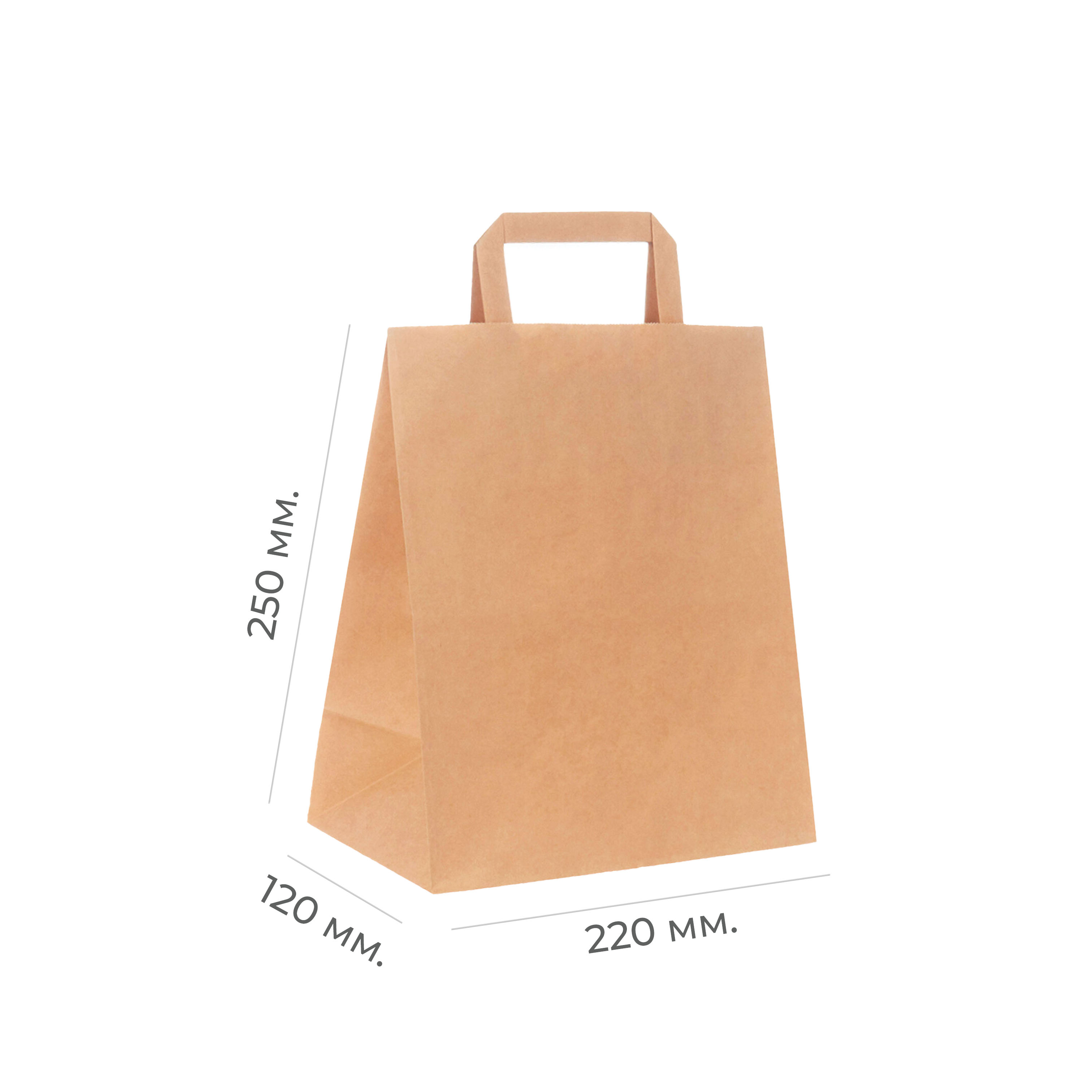 Крафт-пакет с плоскими ручками 220×120×250мм 70г/м² крафт (50/250)
