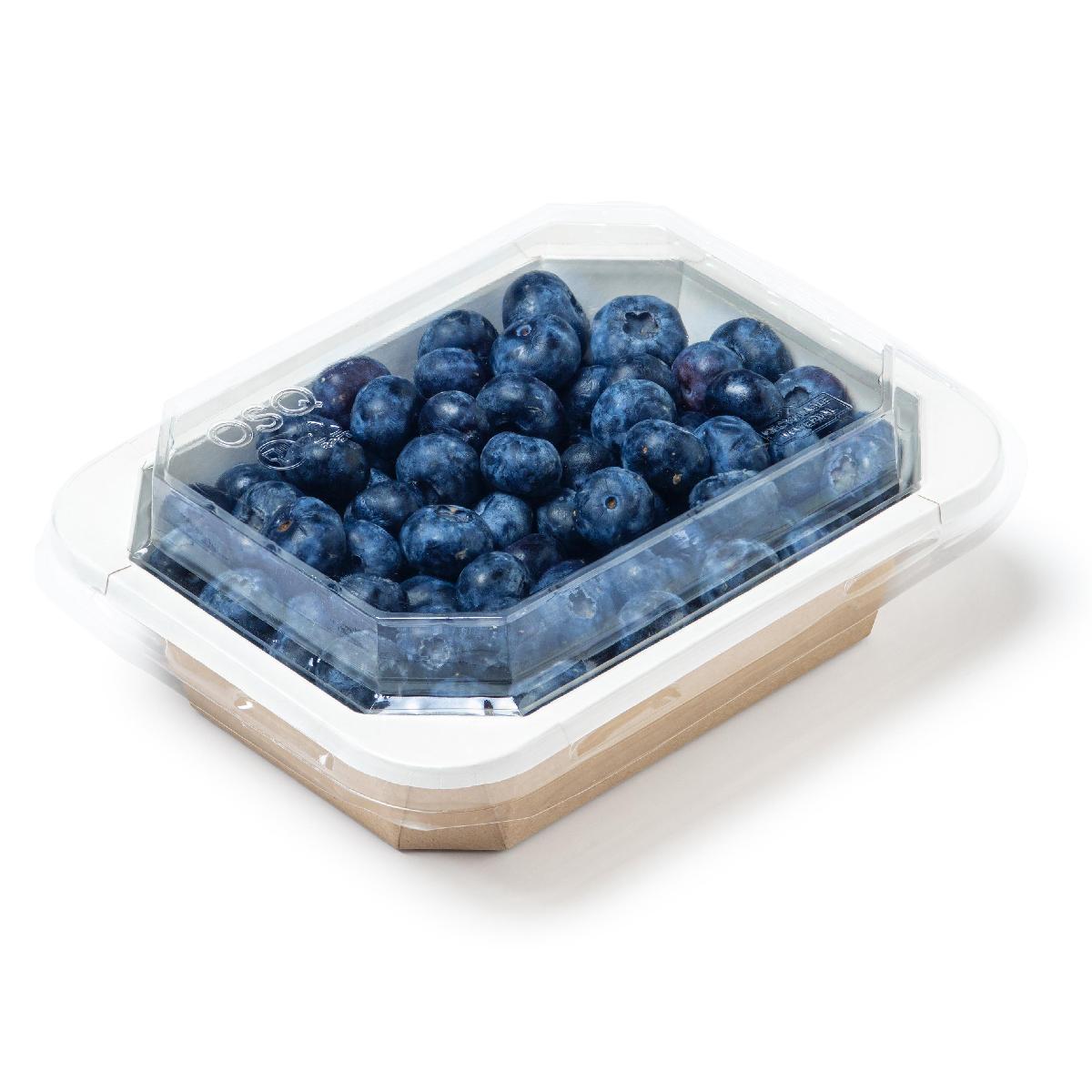 Крышка для контейнера OCTOBOX 400 купольная ПЭТ OSQ (60/660)