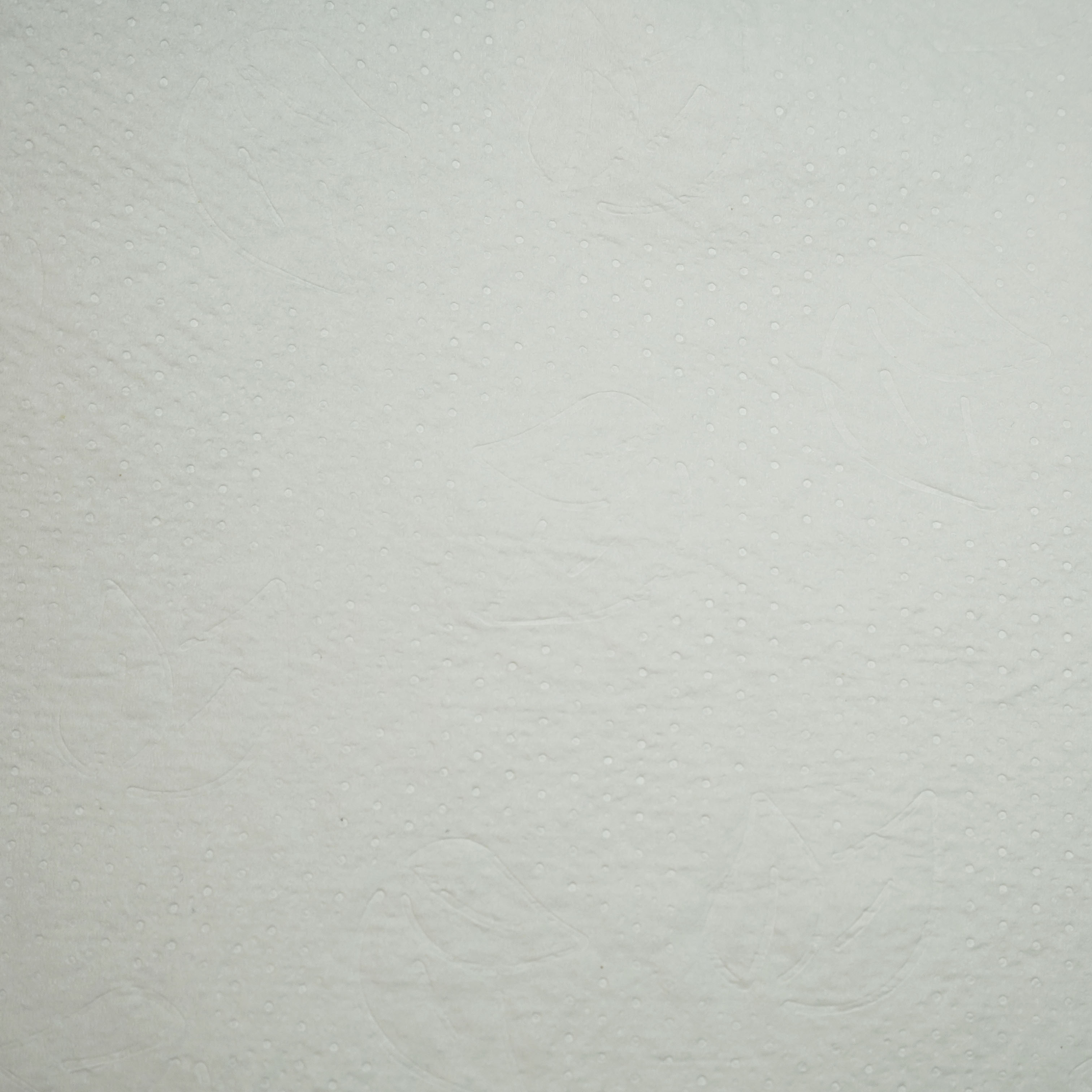 Бумажные полотенца 2-сл в рулоне 150м 19г/м² без перфорации Protissue Matic H1 целлюлоза С222 (6)