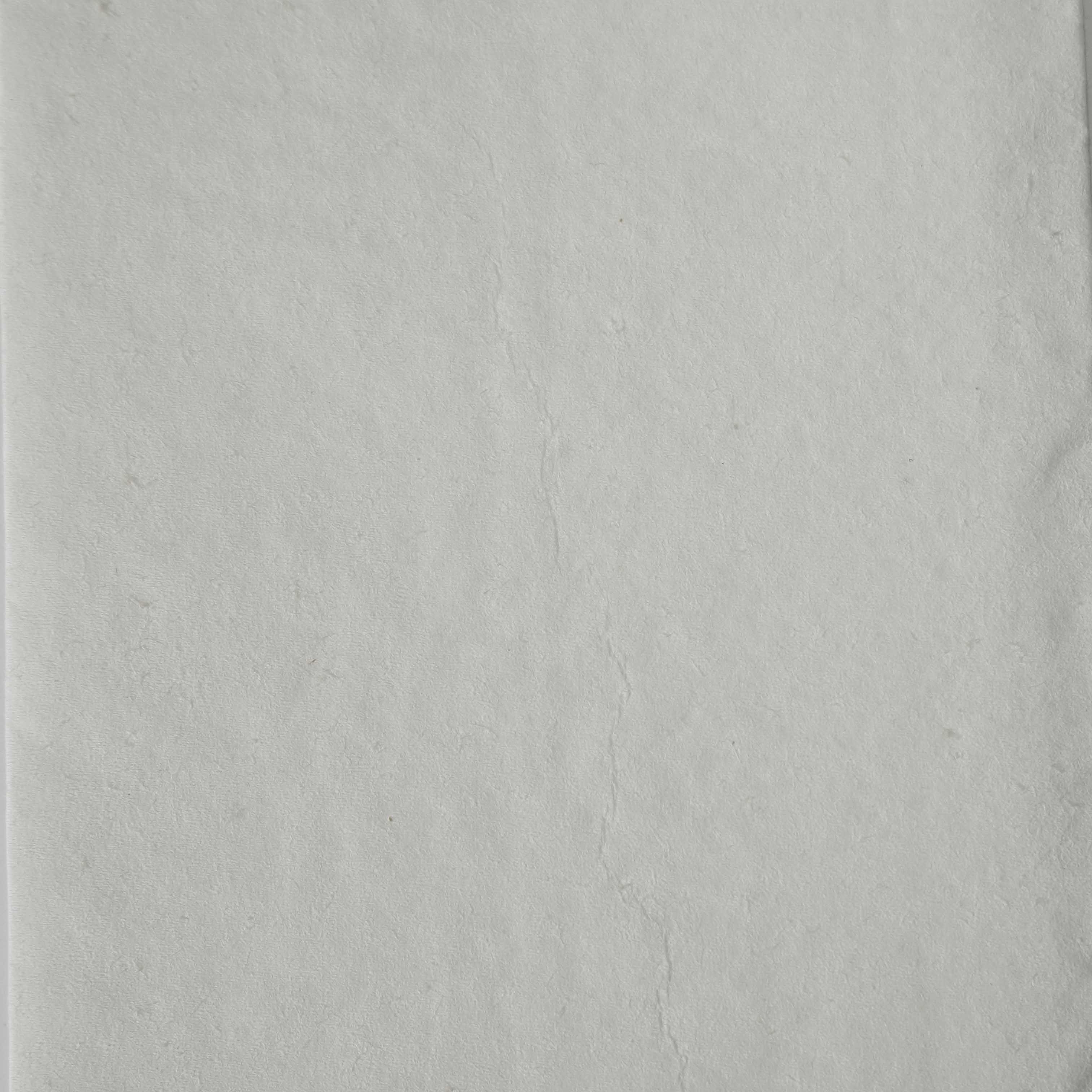 Салфетки бумажные 2-слойные 33×33 1/8 100шт белые Protissue C233 (24)