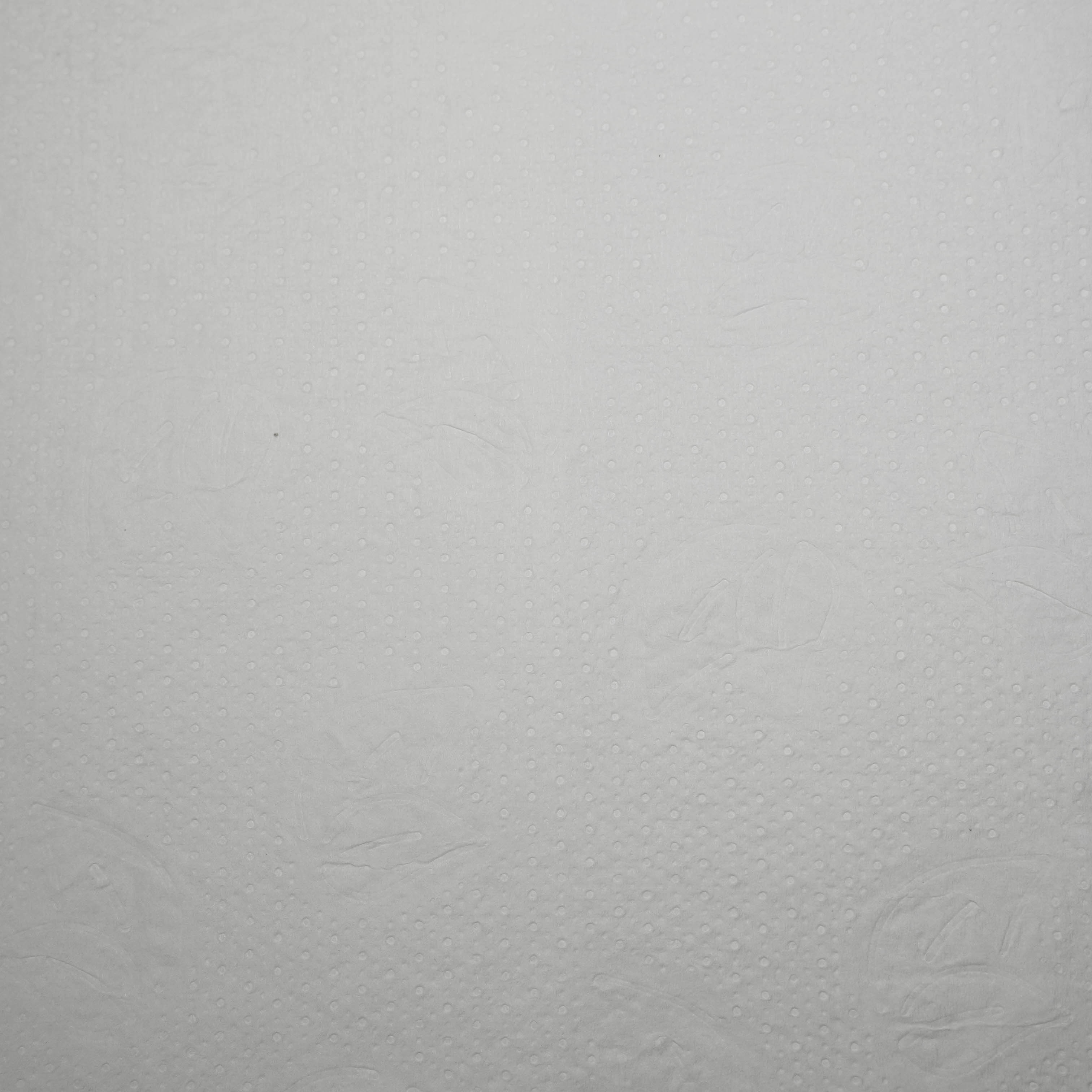 Бумажные полотенца 1-сл в рулоне с центр вытяжкой 275м 20г/м² без перф Protissue M2/М4 С195 