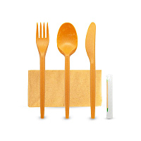 Набор: 5/1 вилка, ложка, нож, зубочистка, салфетка (БИО Крафт) в ПЭ упаковке (300)