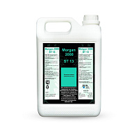 Morgan 2000 ST13 - Cредство для дезинфекции рук в 5л TCL