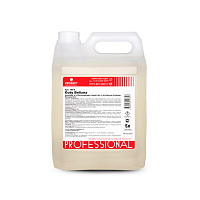 Чистящее для мытья и отбеливания поверхн. с дез. эф. Prosept Duty Belizna Ph11.5 5л (4)