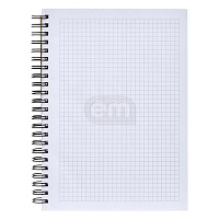 Тетрадь А5 80л евроспираль (40)